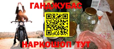 мдпв Камень-на-Оби