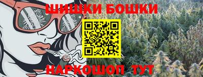 мдпв Камень-на-Оби